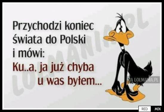 Znalezione obrazy dla zapytania koniec świata humor gify