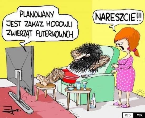 Zwierzęta | Najlepsze Demotywatory, bardzo śmieszne obrazki, głupie memy i  grafiki | RedMik.pl
