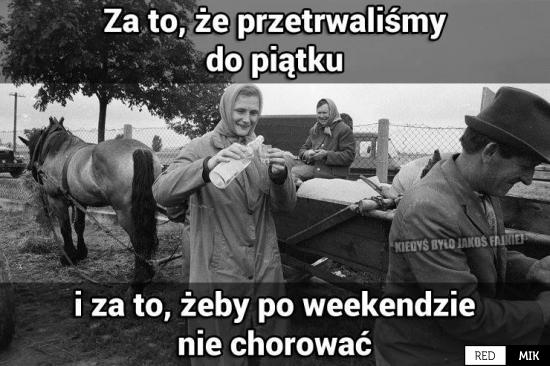 Piątek | Najlepsze Demotywatory, bardzo śmieszne obrazki, głupie memy i  grafiki | RedMik.pl